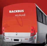 Ponto nº BACKBUS-MURIAÉ