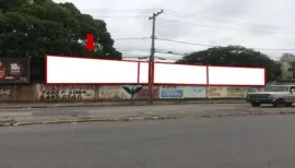 Ponto nº 246v